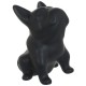 Perro sentado negro