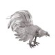 2 Gallo De Pelea 800 Grs.
