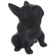Perro sentado negro