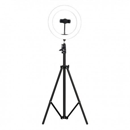 Aro Luz Influencer Studio 12 Geartek
