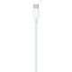 Cable usb C a lightning 1m