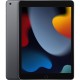 Ipad Wi-Fi 256 GB Gris 9a Gen
