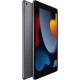Ipad Wi-Fi 256 GB Gris 9a Gen