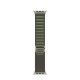 Correa Apple Watch Alpine 49mm verde