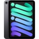 Ipad Mini Wi-Fi 64GB Gris 6ta Gen