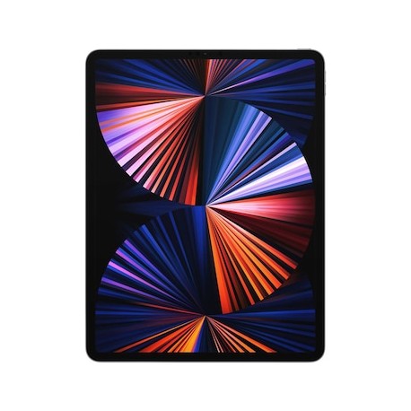Ipad Pro 12.9 Wi-Fi 256GB SP Gris