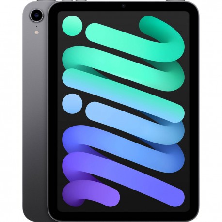 Ipad Mini Wi-Fi 256 GB Gris 6ta Gen