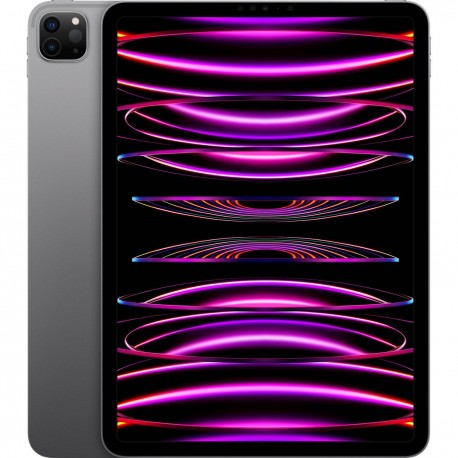 iPad Pro 11 WiFi 256GB space gray D