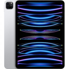 iPad Pro 11 WiFi 1TB silver D2
