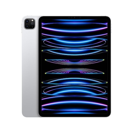 iPad Pro 11 WiFi 1TB silver D2