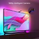 Sistema led Govee TV efecto inmersivo 55-65 pulgadas