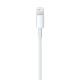 Cable Lightning USB 1 m Apple