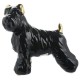 Perro de pie