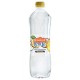 AGUA CLÁSICA PIÑA COCO LEVITE 1L