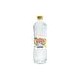 AGUA CLÁSICA PIÑA COCO LEVITE 1L