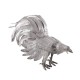2 Gallo De Pelea 800 Grs.